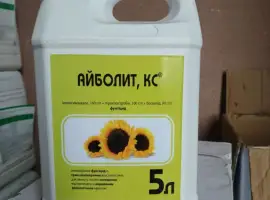 Зображення для оголошення Айболит