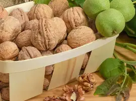 Зображення для оголошення Куплю грецький горіх/орех/волоський горіх