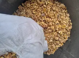 Зображення для оголошення Продам світлий мікс