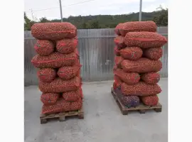 Зображення для оголошення Продам бойний горіх