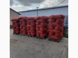 Зображення для оголошення Продам горіх бойний
