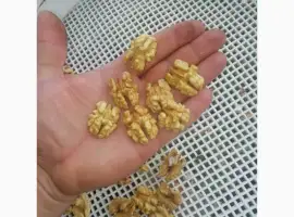 Зображення для оголошення Продам світлу половинку та четверть