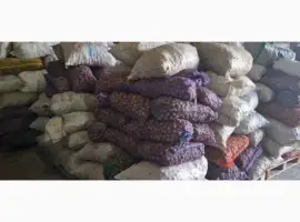 Зображення для оголошення Продам горіх волоський