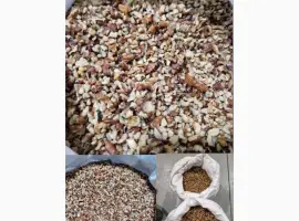 Зображення для оголошення Продам 1/8 грецького горіха