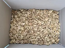 Зображення для оголошення Продам горіх опт на постійні основі