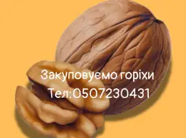 Зображення для оголошення Горіх куплю