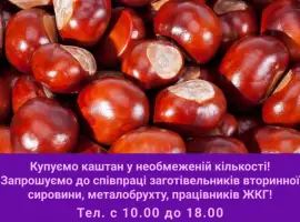 Зображення для оголошення Закуповуемо каштани у необмежений кількості (цілий без цвілі)