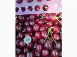 Зображення для оголошення Продам средне-мелкую черешня