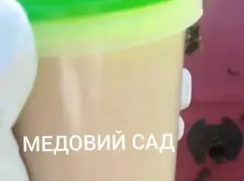 Зображення для оголошення Трутневе молочко (гомогенат трутневих личинок)