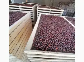 Зображення для оголошення Продам суху шипшину