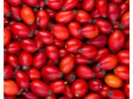 Зображення для оголошення Шипшина продам
