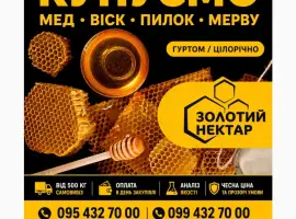 Купуємо мед оптом