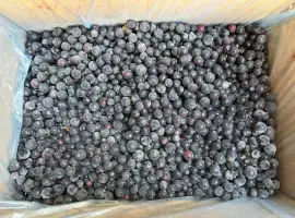 Зображення для оголошення Продам заморожену чорну смородину оригінал IQF оптом від 5 тонн Волинська обл