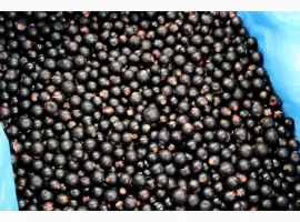 Зображення для оголошення Продам заморожену смородину б класс