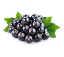 Зображення для оголошення Куплю смородину чорну