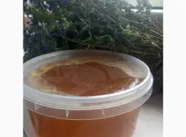 Зображення для оголошення Продам мед та продукти бджільництва