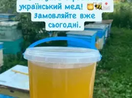 Зображення для оголошення Продаємо мед травневий