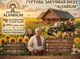 Зображення для оголошення Купуємо мед гуртом