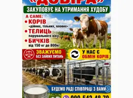 Зображення для оголошення Евакуація Врх із зони бойових дій на Фермерське Господарство