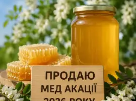 Зображення для оголошення Мед акація 2026 року