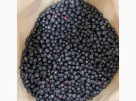 Зображення для оголошення Куплю Аронія (чорноплідна горобина)
