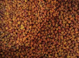 Зображення для оголошення Продам суху червону горобину