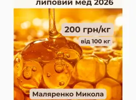 Зображення для оголошення Липовий мед урожаю 2026