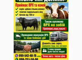 Зображення для оголошення Закуповуємо ВРХ у населення та господарств