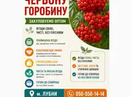 Зображення для оголошення Закуповуємо горобину свіжу