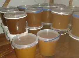 Зображення для оголошення Продам мед лісовий весняний