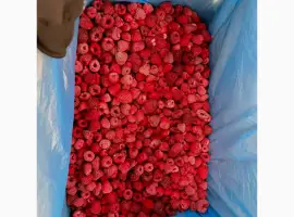 Зображення для оголошення Продам малину