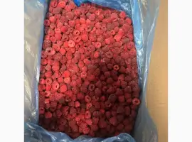 Зображення для оголошення Купую грис малину свіжу