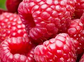 Зображення для оголошення Малина заморозка куплю