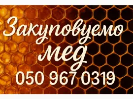 Зображення для оголошення Закуповуємо мед соняшнику оптом