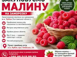 Зображення для оголошення Куплю малину на заморозку