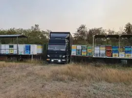 Зображення для оголошення Підприємство Медовий Стандарт купує мед