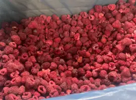 Зображення для оголошення Продам малину оригінал
