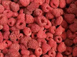 Зображення для оголошення Продам малину 80/20