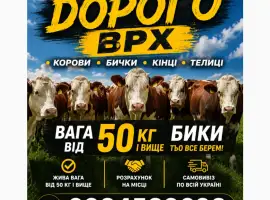 Зображення для оголошення Закупляемо ВРХ дорого коров
