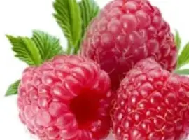 Зображення для оголошення Куплю малину