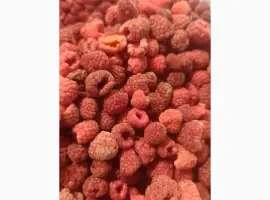 Зображення для оголошення Продам малину заморожену 80/20