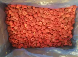 Зображення для оголошення Продам заморожену малину цілу 90/10