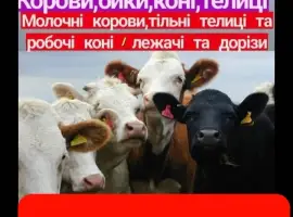 Зображення для оголошення Врх на тримання