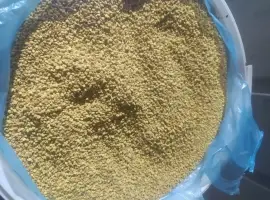 Продам бджолиний пилок