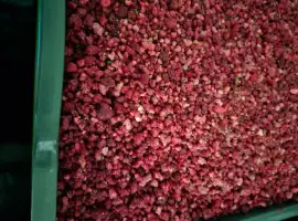 Зображення для оголошення Продам малину