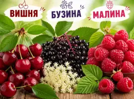 Зображення для оголошення Куплю малину