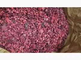 Зображення для оголошення Куплю малину заморожену ламану