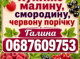 Зображення для оголошення Купляю Малину