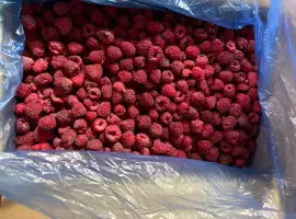 Зображення для оголошення Продам заморожену малину