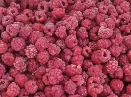 Зображення для оголошення Купуємо малину